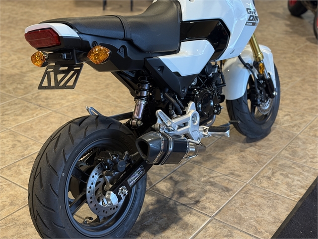 2025 Honda GROM at Ehlerding Motorsports