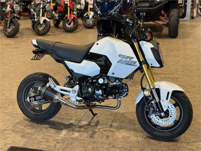 2025 Honda GROM at Ehlerding Motorsports