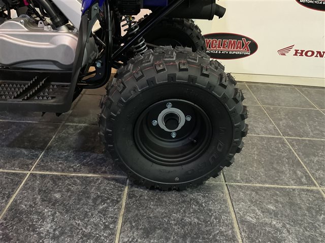 2025 Yamaha Raptor 110 at Cycle Max