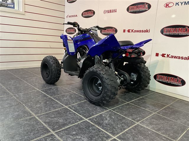 2025 Yamaha Raptor 110 at Cycle Max