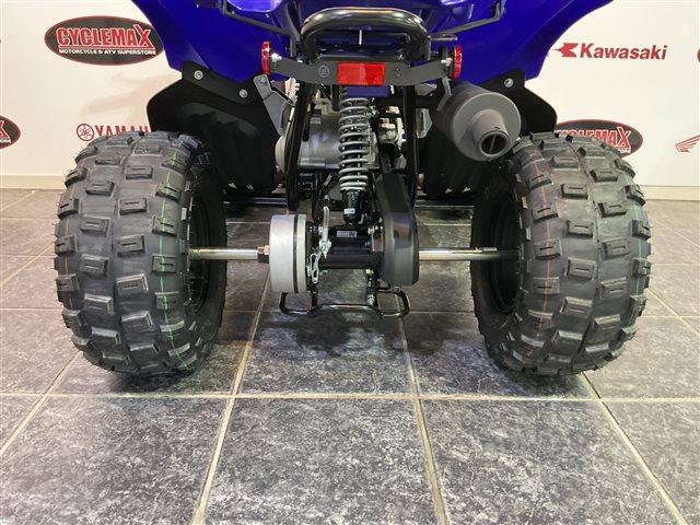 2025 Yamaha Raptor 110 at Cycle Max