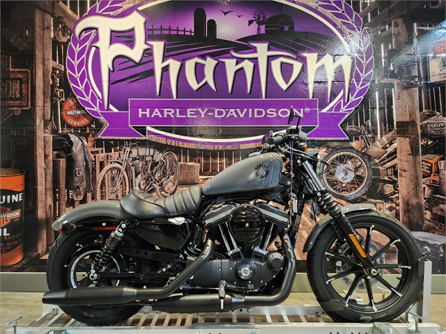 2022 Harley-Davidson Sportster Iron 883 at Phantom Harley-Davidson