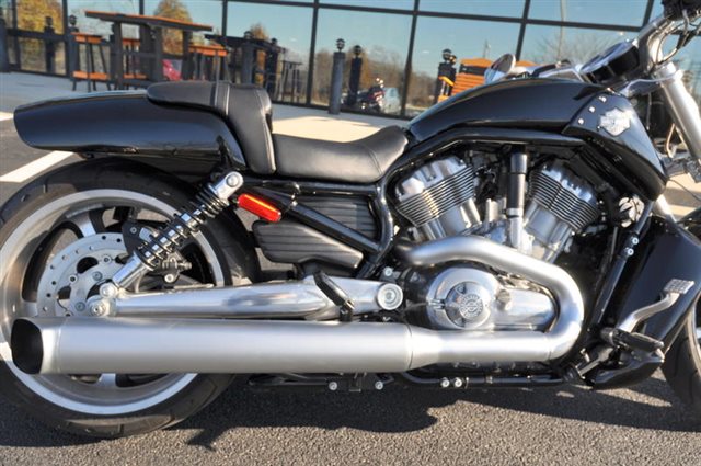 2016 Harley Davidson V Rod Muscle All American 2016 Harley Davidson V Rod Muscle At All American