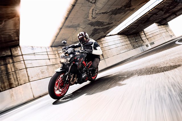 2019 Kawasaki Z900 Base at Ehlerding Motorsports