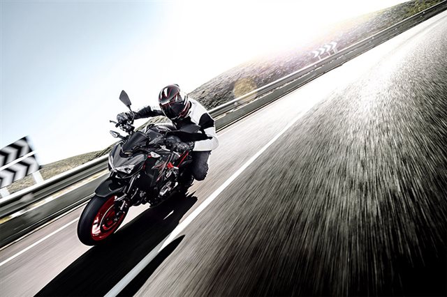 2019 Kawasaki Z900 Base at Ehlerding Motorsports