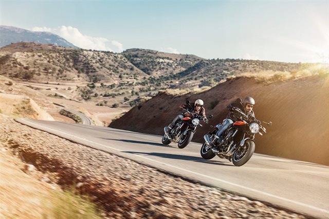2019 Kawasaki Z900 Base at Ehlerding Motorsports