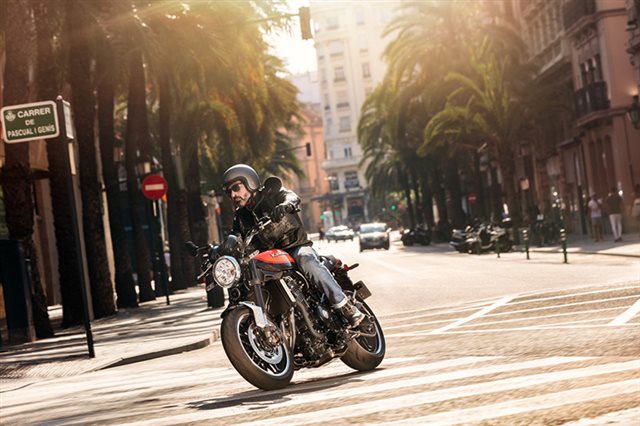 2019 Kawasaki Z900 Base at Ehlerding Motorsports