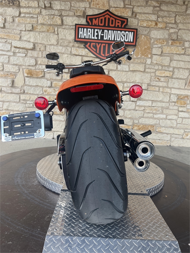 Harley-Davidson Softail Image