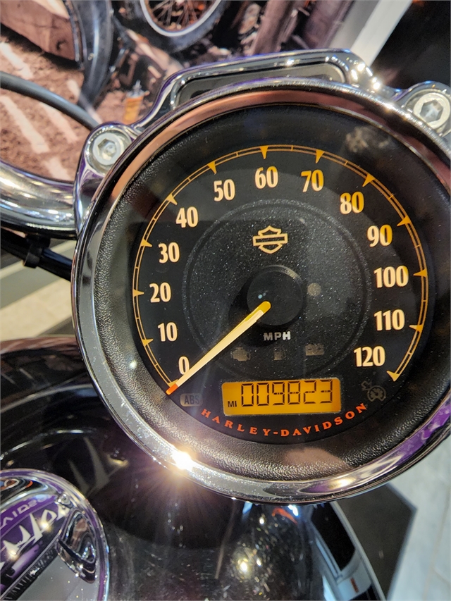 2015 Harley-Davidson Sportster 1200 Custom at Phantom Harley-Davidson