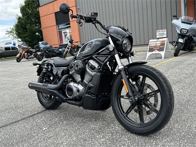 2022 Harley-Davidson Sportster Nightster at Thunder Road Harley-Davidson