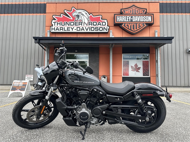 2022 Harley-Davidson Sportster Nightster at Thunder Road Harley-Davidson