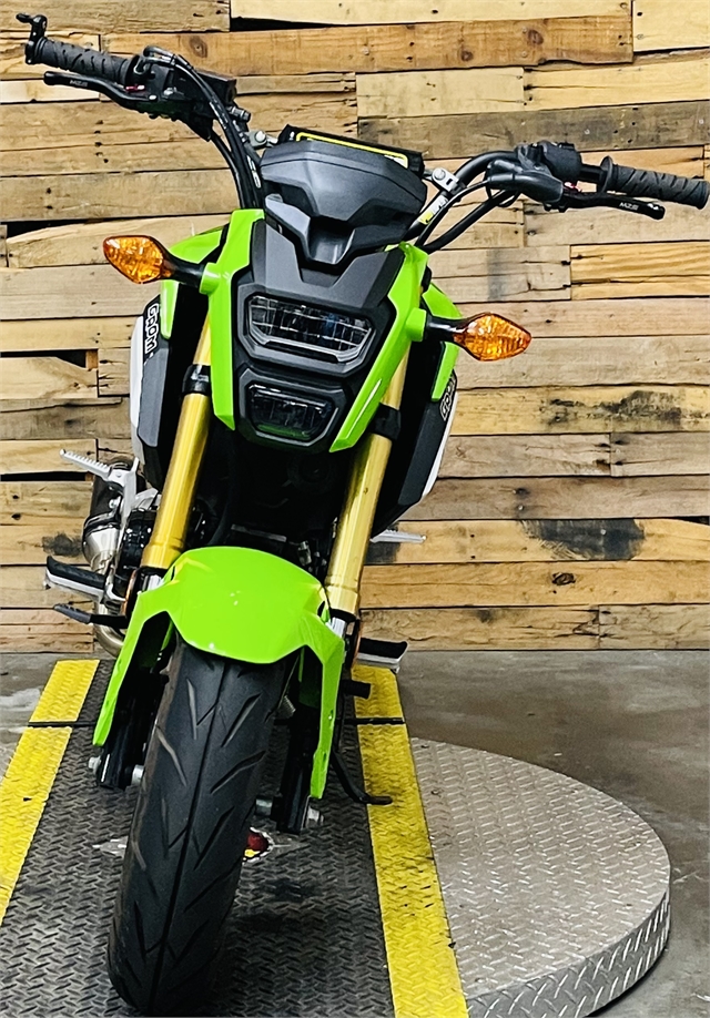 2019 Honda Grom Base at Lumberjack Harley-Davidson