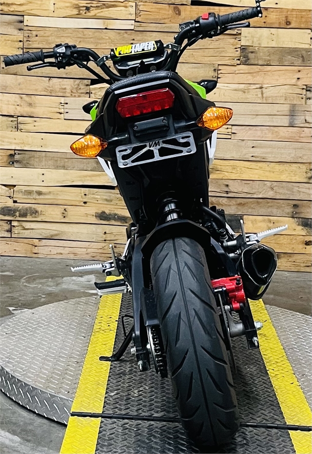 2019 Honda Grom Base at Lumberjack Harley-Davidson