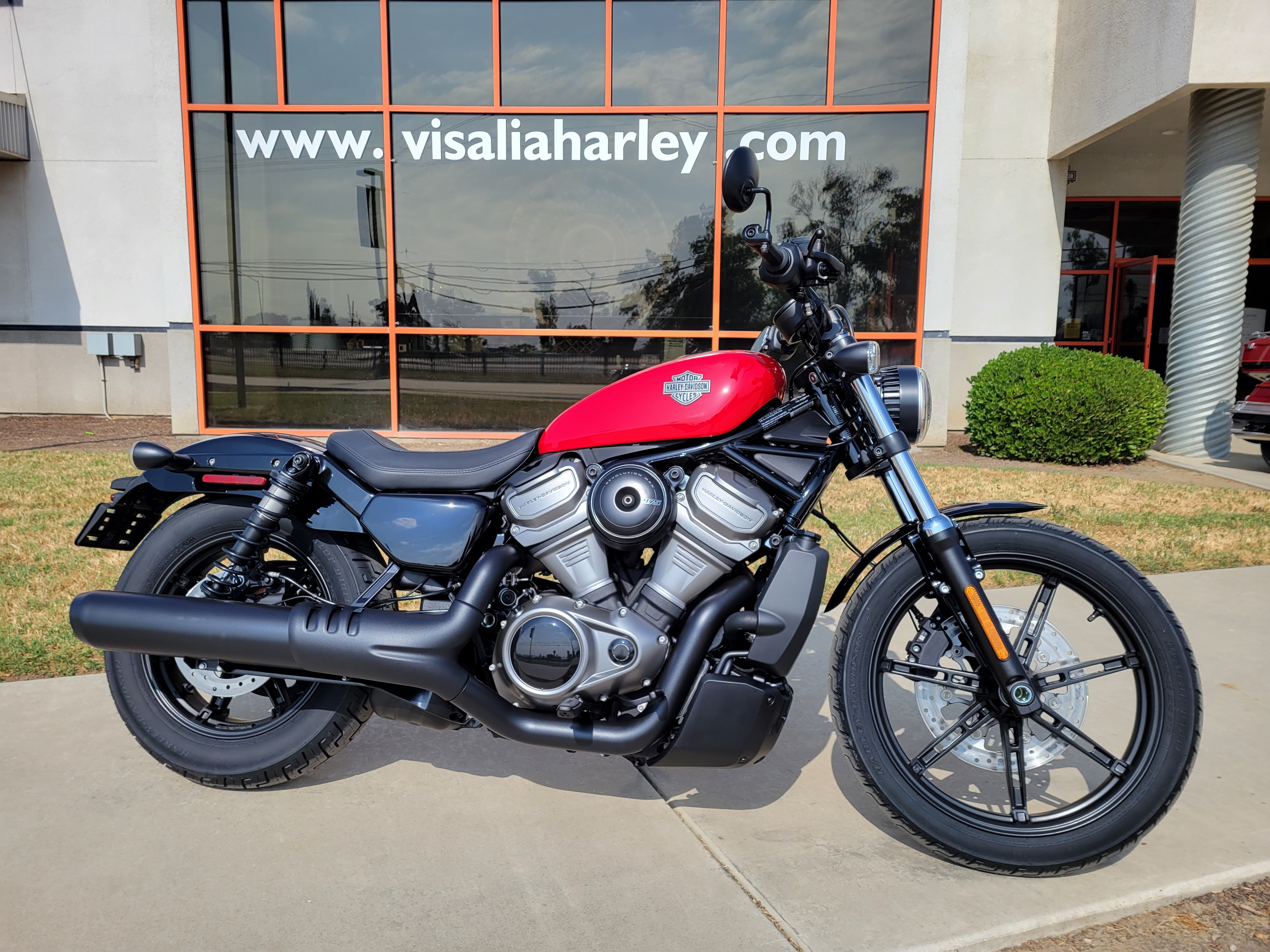 Hd best sale sportster nightster