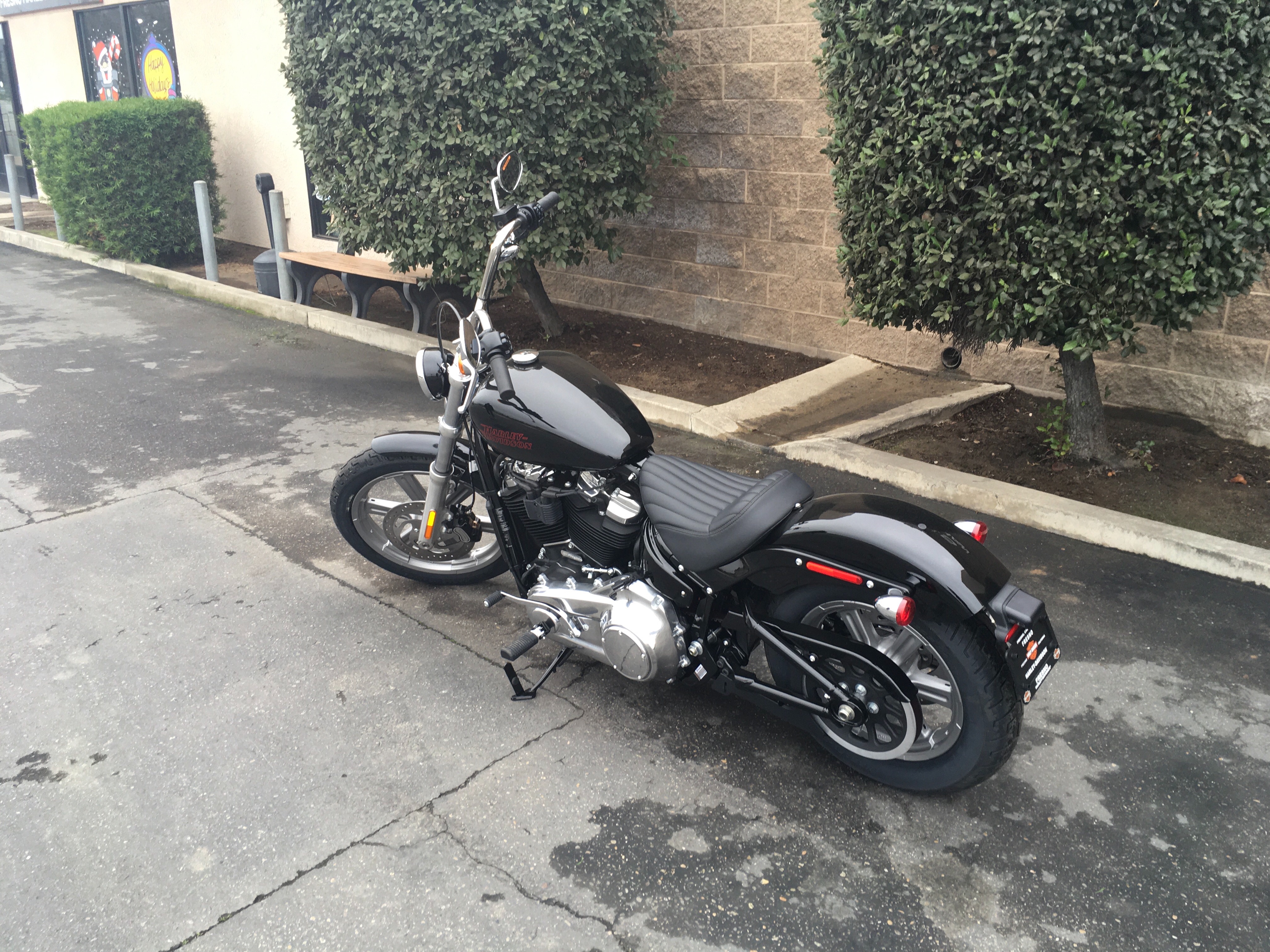 2024 Harley-Davidson Softail Standard at Fresno Harley-Davidson