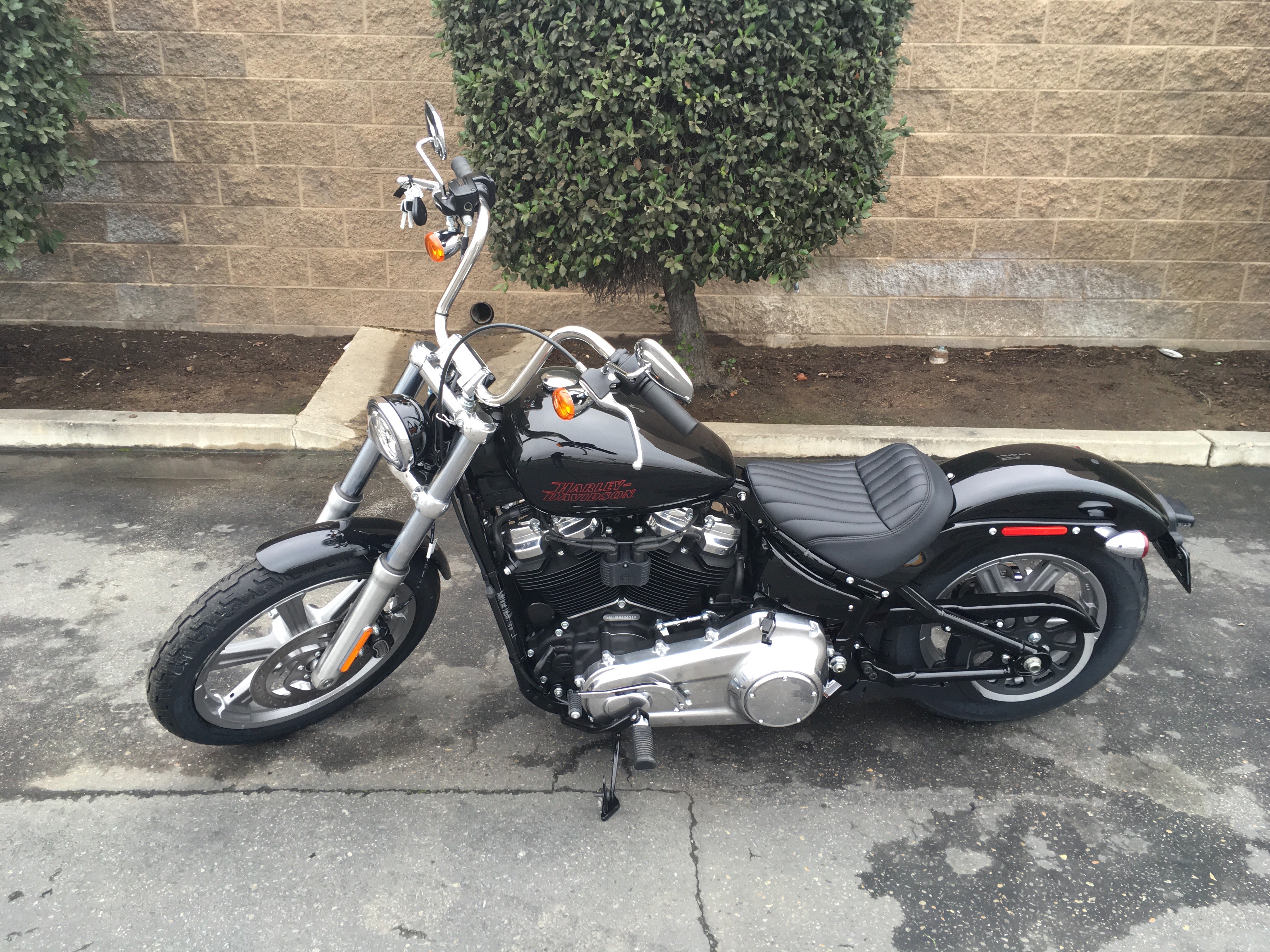 2024 Harley-Davidson Softail Standard at Fresno Harley-Davidson