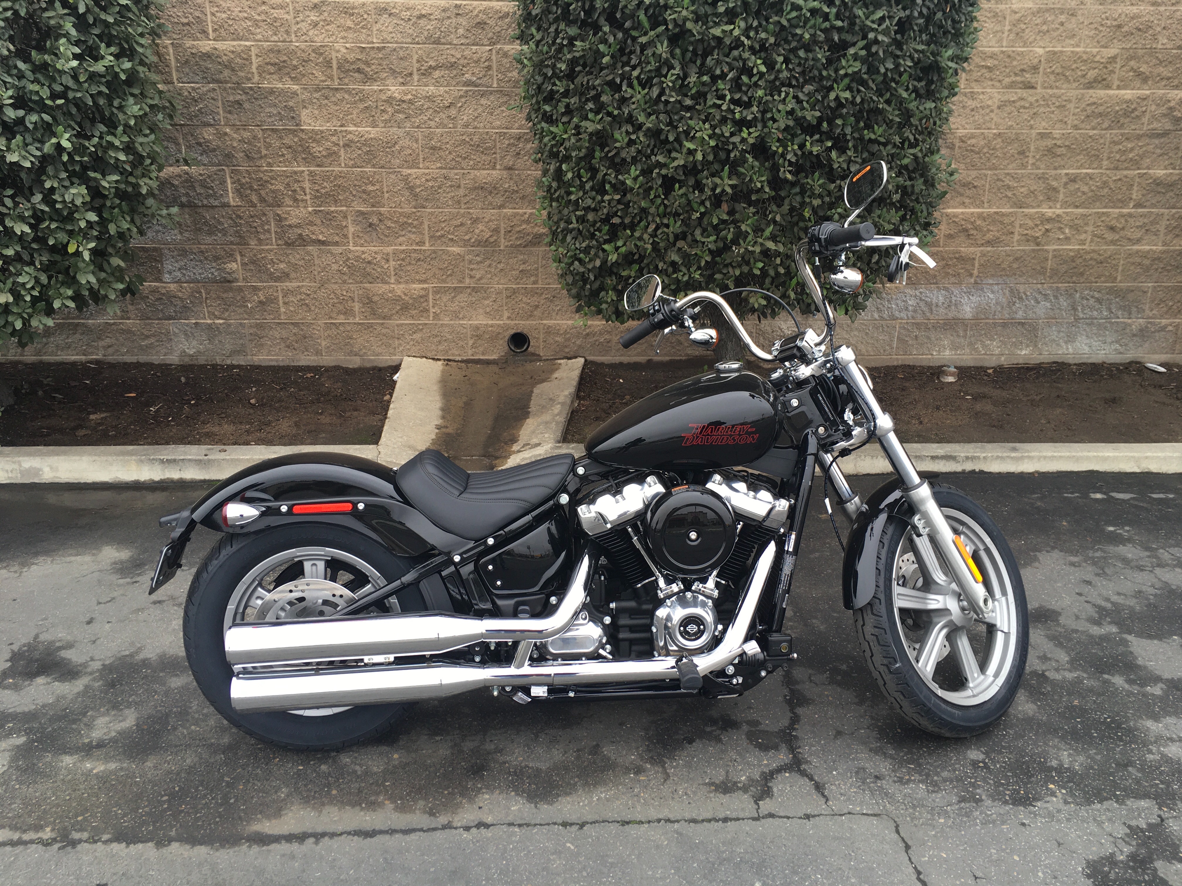 2024 Harley-Davidson Softail Standard at Fresno Harley-Davidson