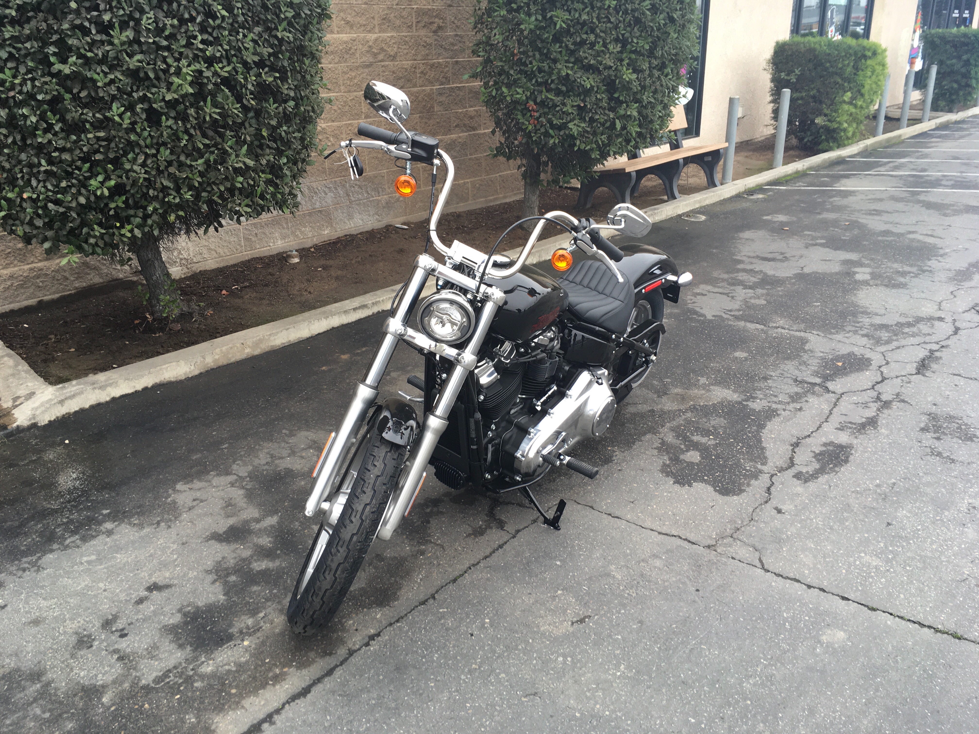 2024 Harley-Davidson Softail Standard at Fresno Harley-Davidson