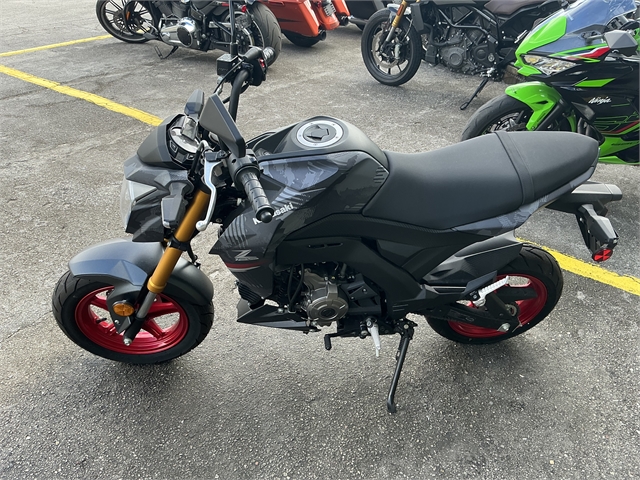 2024 Kawasaki Z125 PRO Base at Jacksonville Powersports, Jacksonville, FL 32225