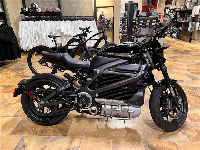 2020 Harley-Davidson Electric LiveWire at Man O'War Harley-Davidson®