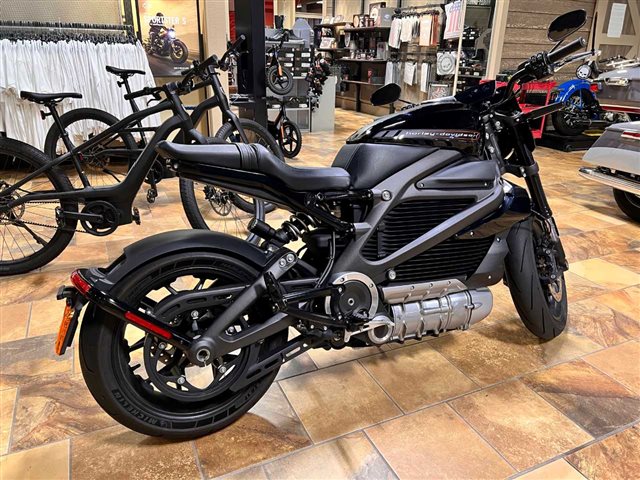 2020 Harley-Davidson Electric LiveWire at Man O'War Harley-Davidson®