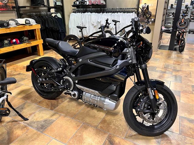 2020 Harley-Davidson Electric LiveWire at Man O'War Harley-Davidson®