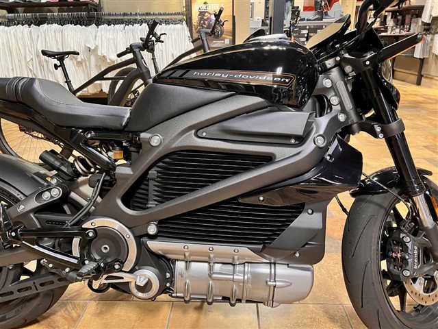 2020 Harley-Davidson Electric LiveWire at Man O'War Harley-Davidson®