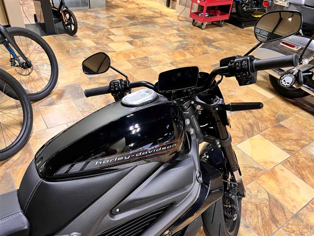 2020 Harley-Davidson Electric LiveWire at Man O'War Harley-Davidson®