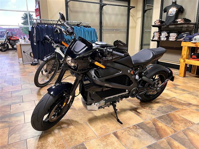 2020 Harley-Davidson Electric LiveWire at Man O'War Harley-Davidson®