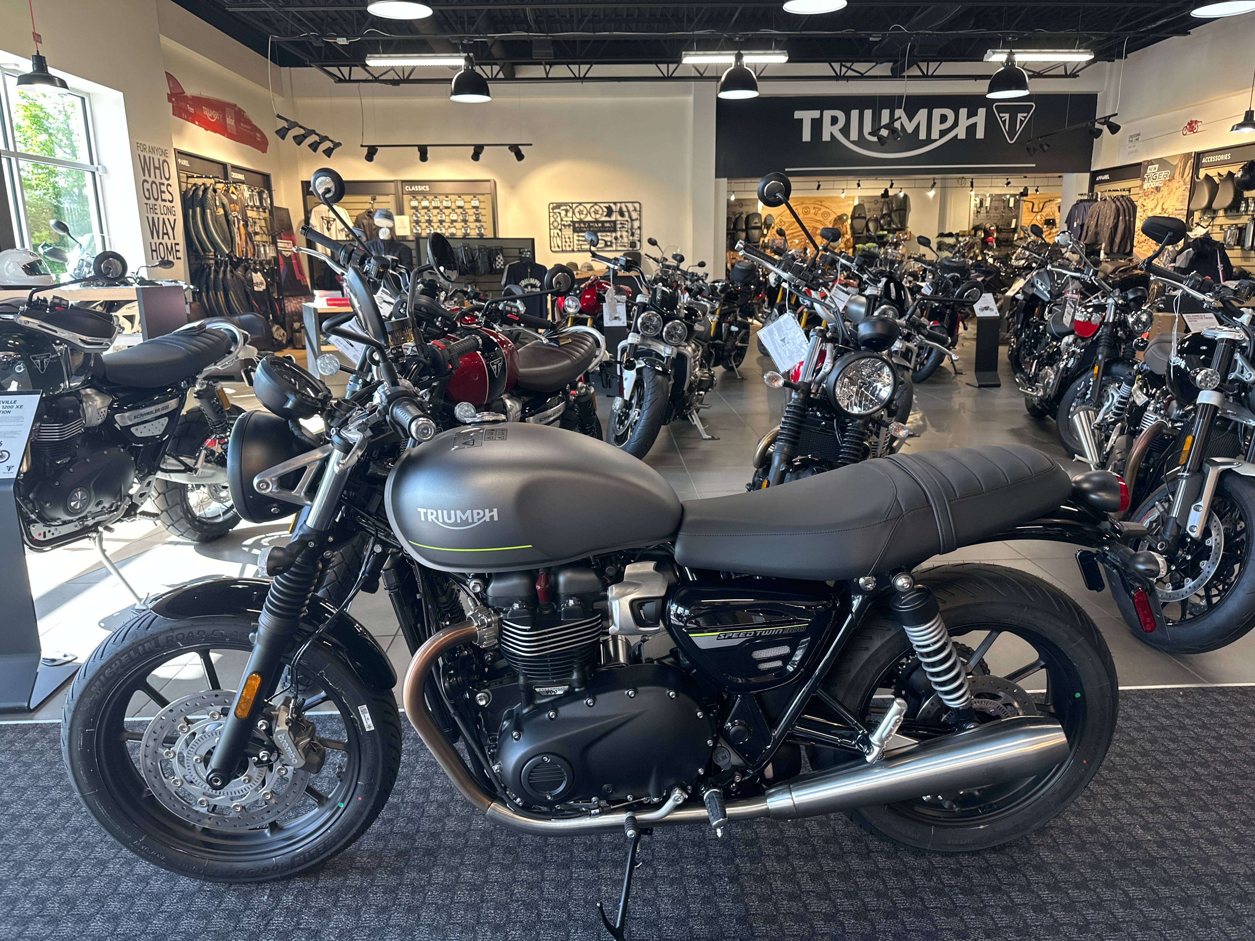 2023 Triumph Speed Twin 900 Base at Frontline Eurosports