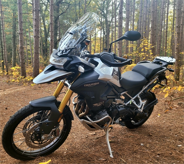 2023 Triumph Tiger 1200 Rally Pro at Hot Rod Harley-Davidson