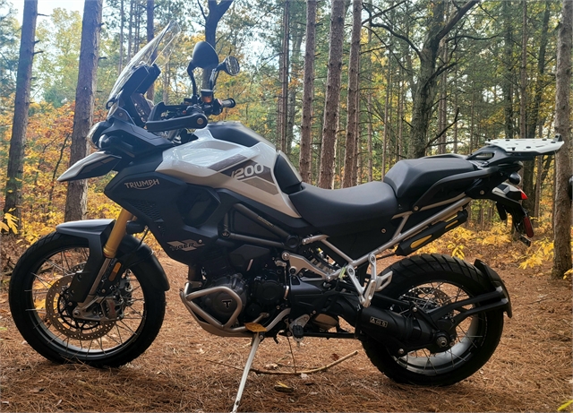 2023 Triumph Tiger 1200 Rally Pro at Hot Rod Harley-Davidson