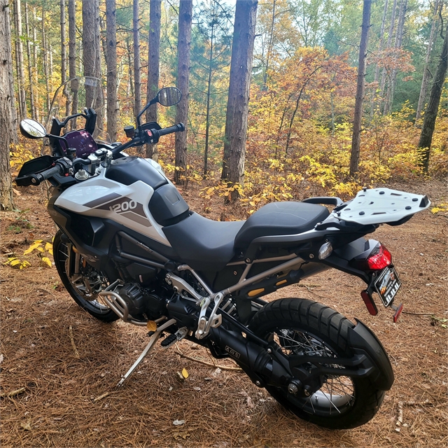 2023 Triumph Tiger 1200 Rally Pro at Hot Rod Harley-Davidson