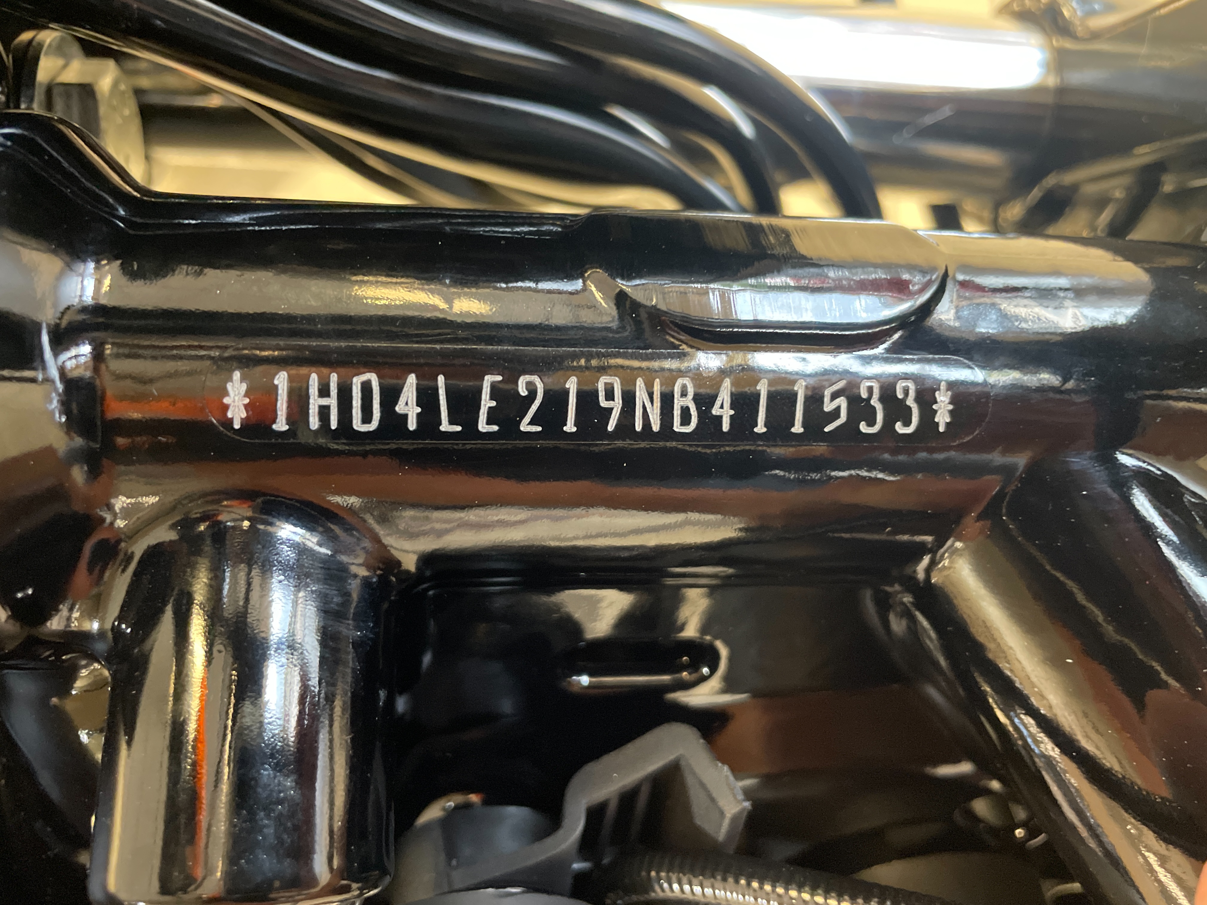 2022 Harley-Davidson Sportster Iron 883 at Tripp's Harley-Davidson