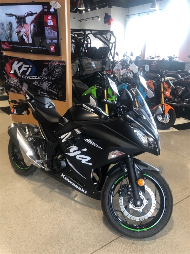 2017 KAWASAKI NINJA 300 WINTER TEST EDITION ABS Winter Test Edition