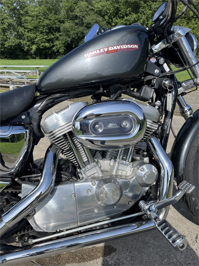 2006 Harley-Davidson Sportster 883 Low at Harley-Davidson of Asheville