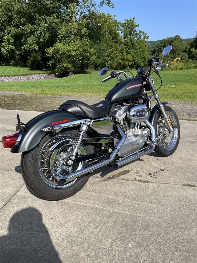 2006 Harley-Davidson Sportster 883 Low at Harley-Davidson of Asheville