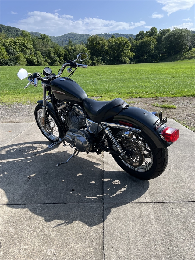 2006 Harley-Davidson Sportster 883 Low at Harley-Davidson of Asheville