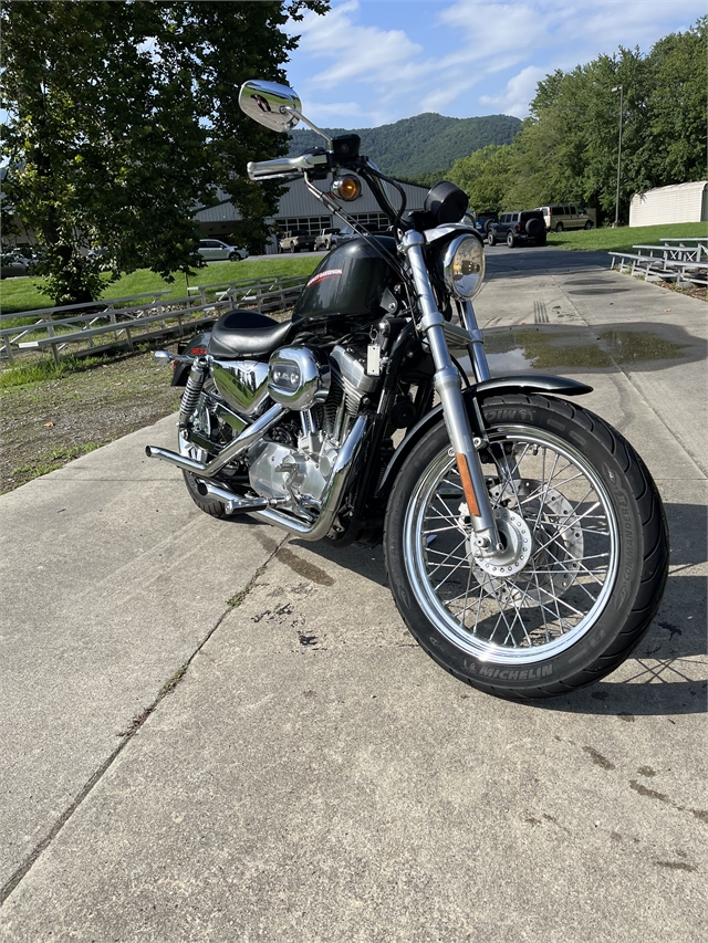 2006 Harley-Davidson Sportster 883 Low at Harley-Davidson of Asheville