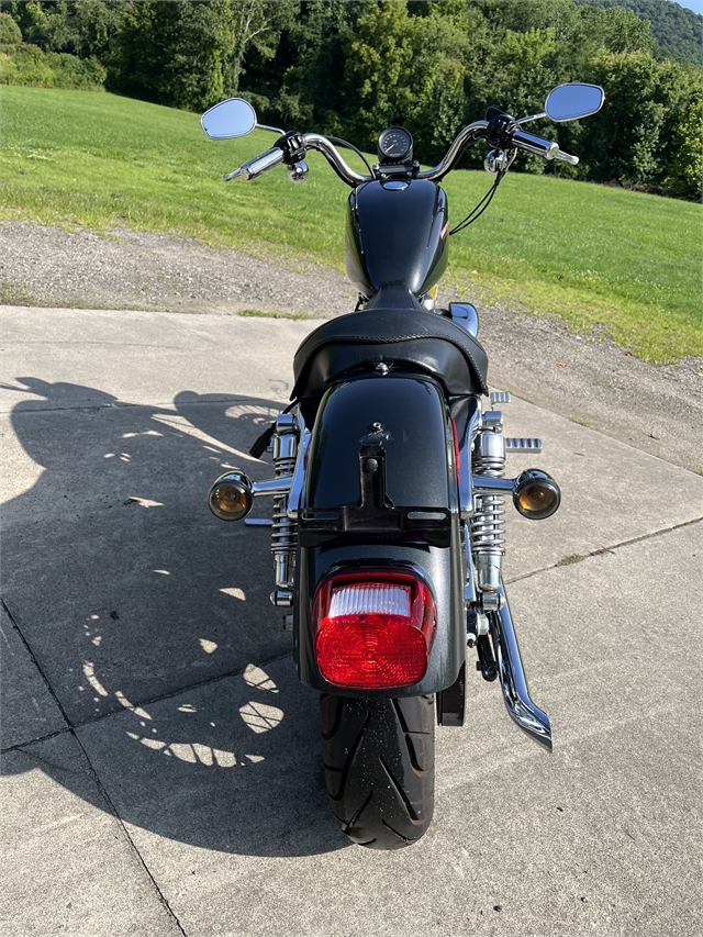 2006 Harley-Davidson Sportster 883 Low at Harley-Davidson of Asheville