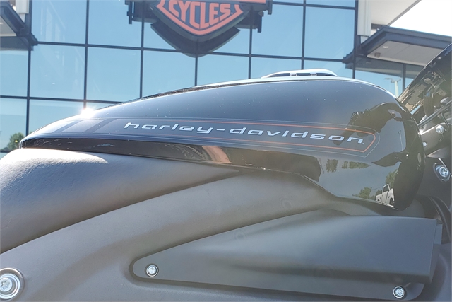 2020 Harley-Davidson Electric LiveWire at All American Harley-Davidson, Hughesville, MD 20637