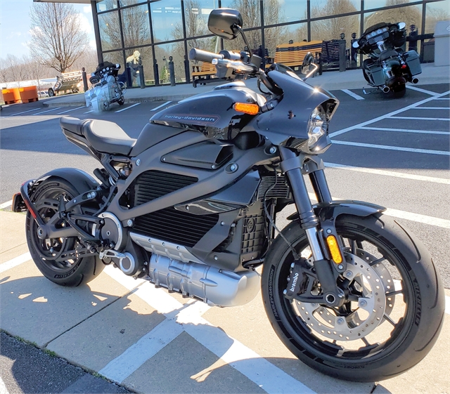 2020 Harley-Davidson Electric LiveWire at All American Harley-Davidson, Hughesville, MD 20637