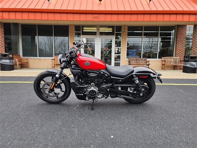 2023 Harley-Davidson Sportster Nightster at Hampton Roads Harley-Davidson