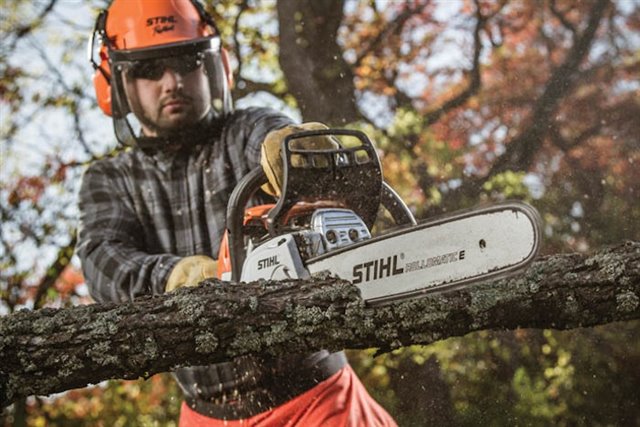 2024 STIHL MS251CBE/18 at McKinney Outdoor Superstore