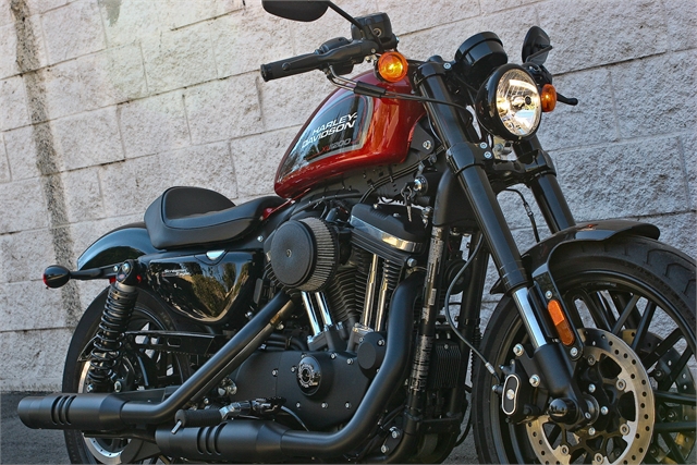 2019 Harley-Davidson Sportster Roadster at Ventura Harley-Davidson