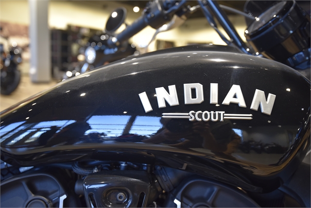 2022 Indian Scout Rogue at Motoprimo Motorsports