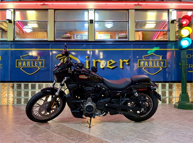 2023 Harley-Davidson Sportster Nightster Special at South East Harley-Davidson