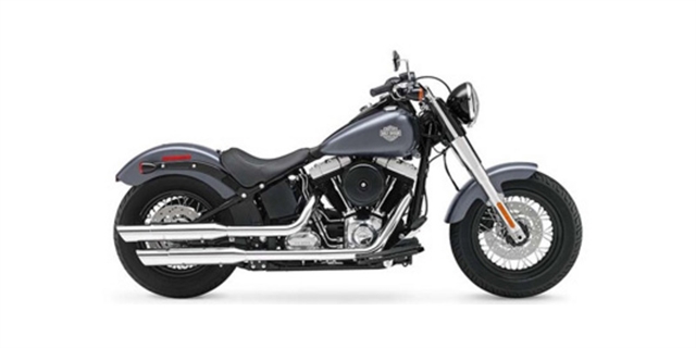 2015 Harley-Davidson Softail Slim at Javelina Harley-Davidson