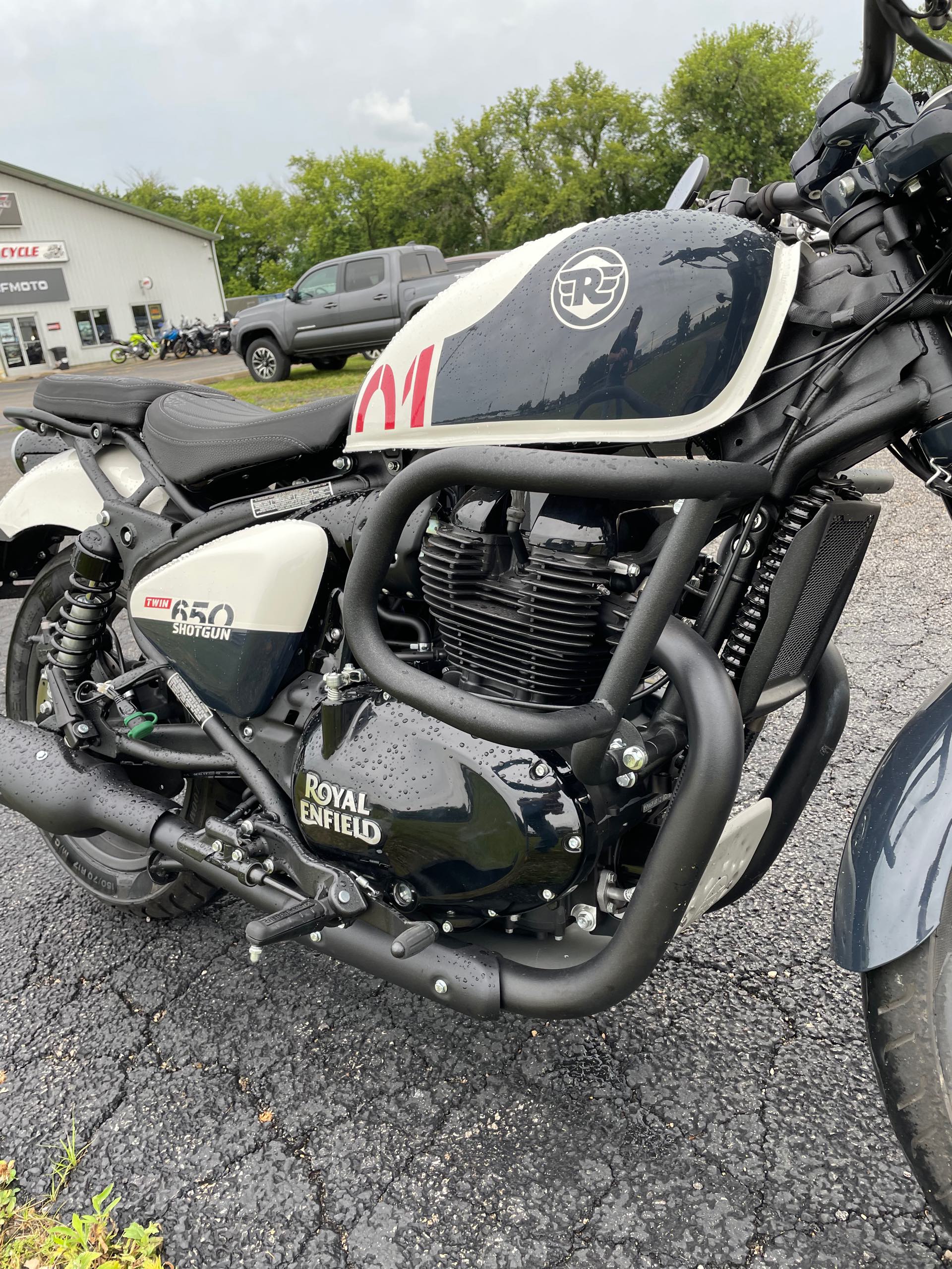 2024 ROYAL ENFIELD SHOTGUN 650 - STENCIL WHITE DEMO at Randy's Cycle