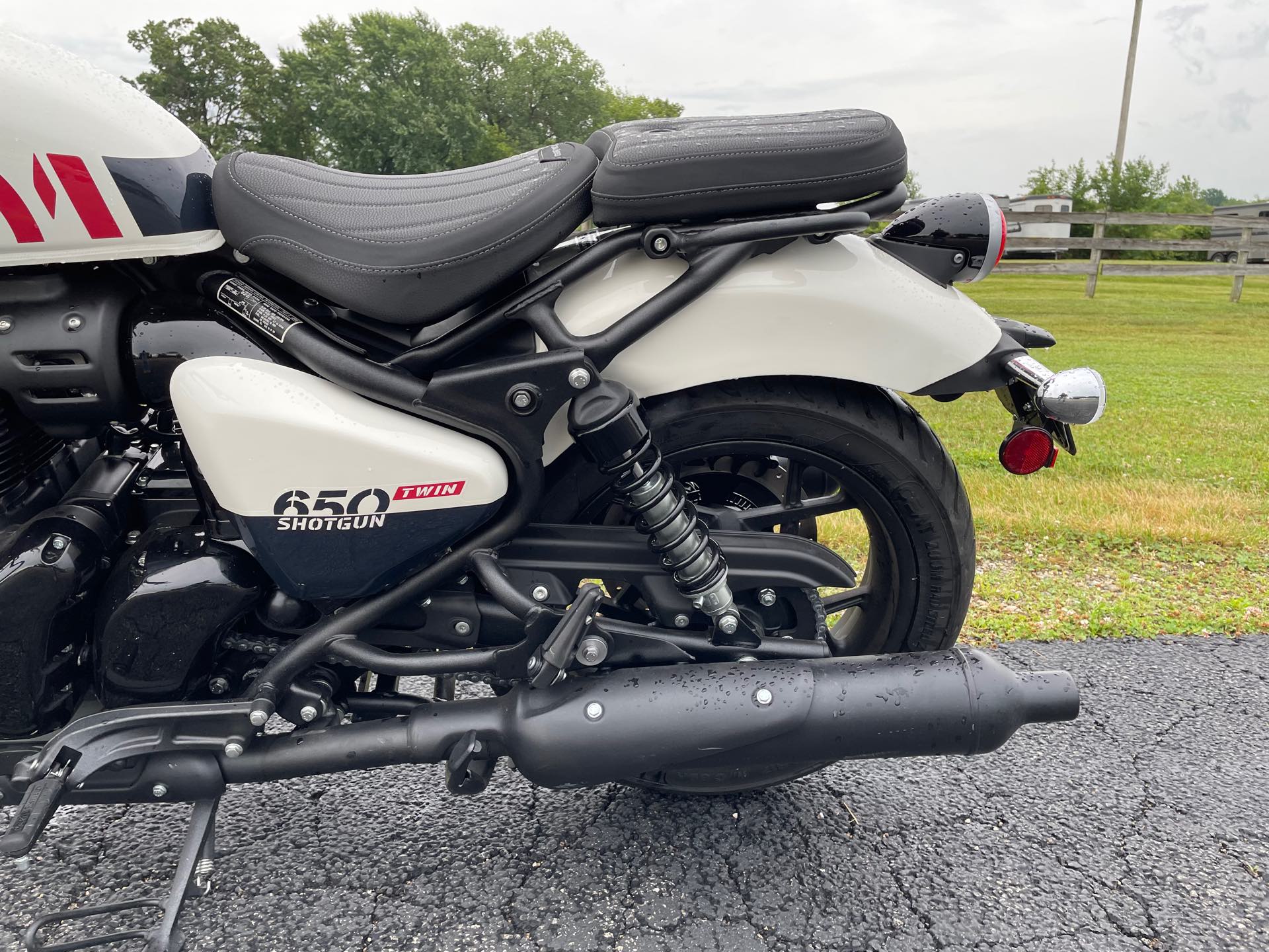 2024 ROYAL ENFIELD SHOTGUN 650 - STENCIL WHITE DEMO at Randy's Cycle